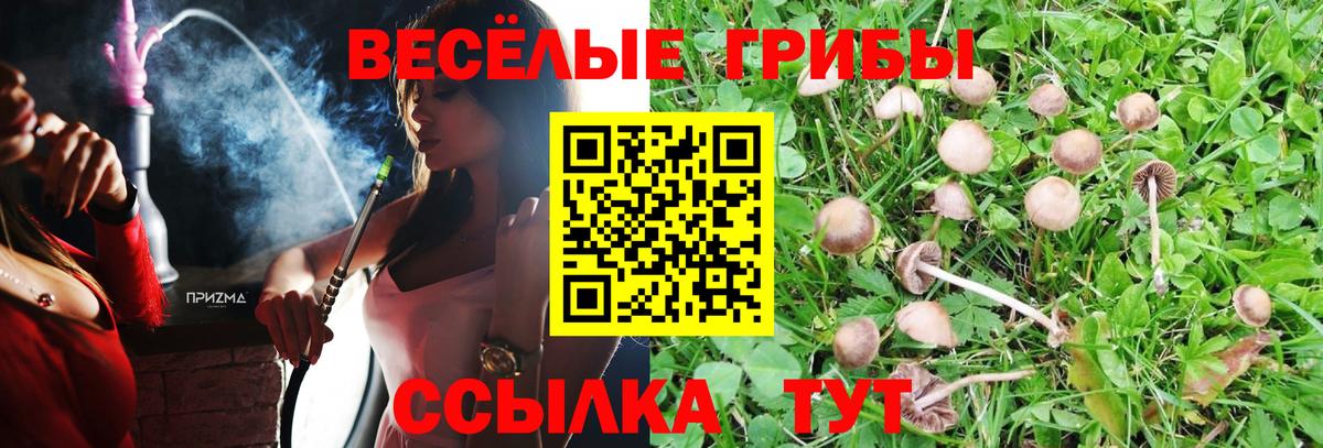 Псилоцибиновые грибы MAGIC MUSHROOMS Корсаков